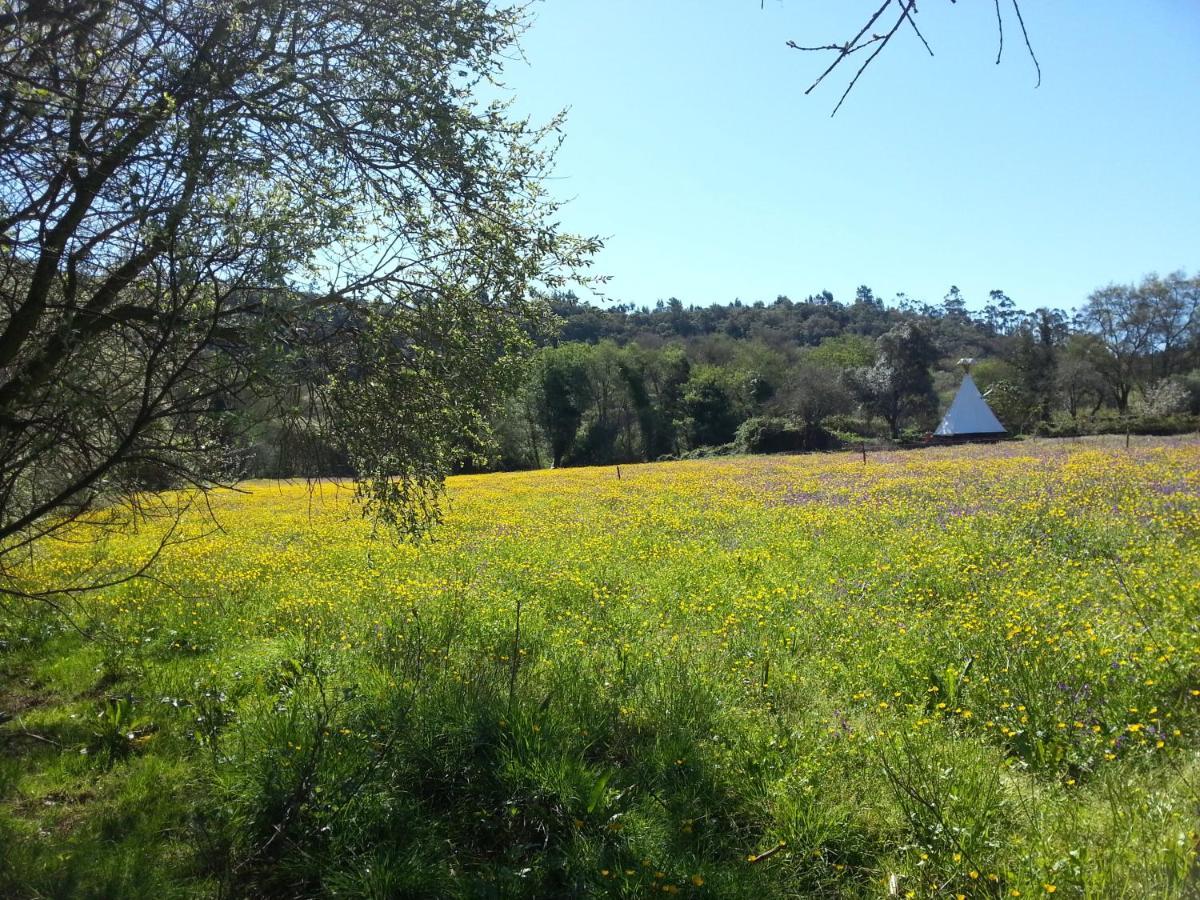 Cozy House In Beautiful Valley, Close To The Beach Odeceixe Bagian luar foto